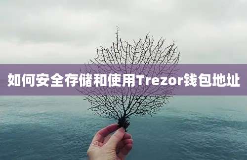 如何安全存储和使用Trezor钱包地址