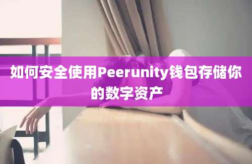 如何安全使用Peerunity钱包存储你的数字资产