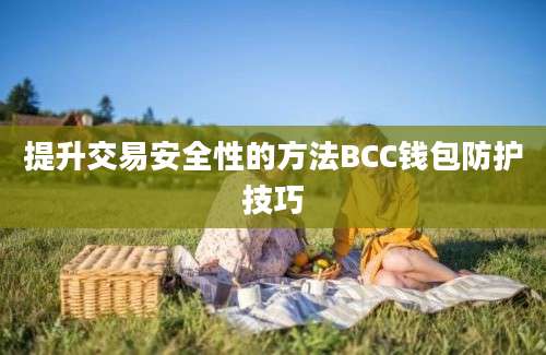 提升交易安全性的方法BCC钱包防护技巧