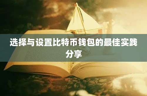 选择与设置比特币钱包的最佳实践分享