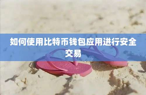 如何使用比特币钱包应用进行安全交易