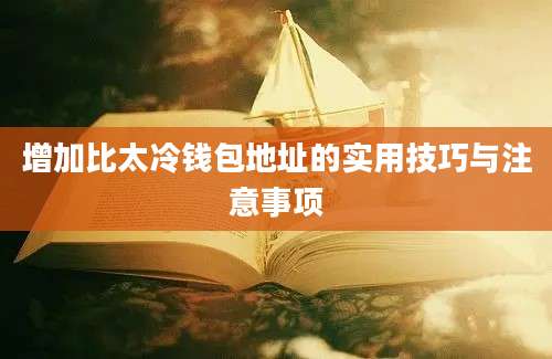 增加比太冷钱包地址的实用技巧与注意事项