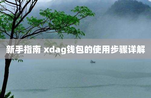 新手指南 xdag钱包的使用步骤详解