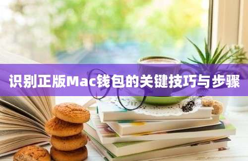 识别正版Mac钱包的关键技巧与步骤