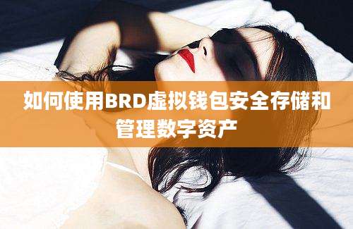 如何使用BRD虚拟钱包安全存储和管理数字资产