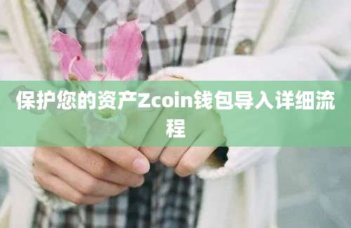 保护您的资产Zcoin钱包导入详细流程