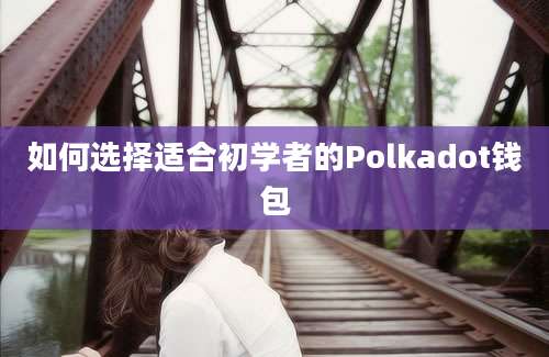 如何选择适合初学者的Polkadot钱包