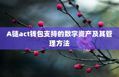 A链act钱包支持的数字资产及其管理方法