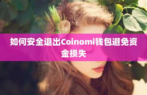 如何安全退出Coinomi钱包避免资金损失