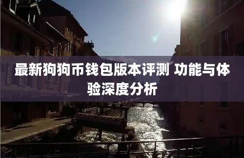 最新狗狗币钱包版本评测 功能与体验深度分析