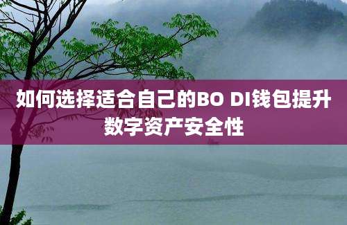 如何选择适合自己的BO DI钱包提升数字资产安全性