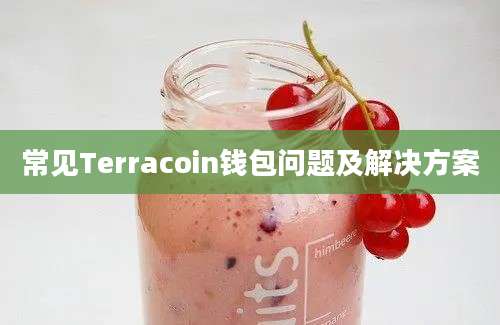 常见Terracoin钱包问题及解决方案