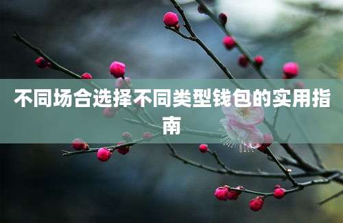 不同场合选择不同类型钱包的实用指南