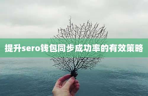 提升sero钱包同步成功率的有效策略