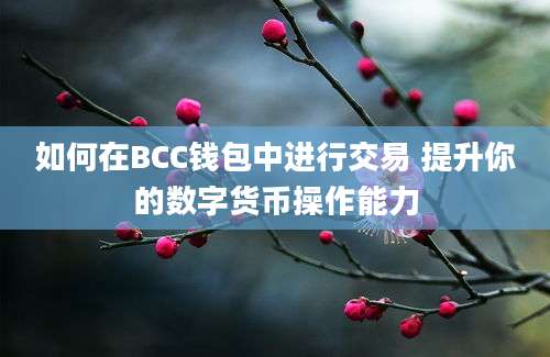 如何在BCC钱包中进行交易 提升你的数字货币操作能力