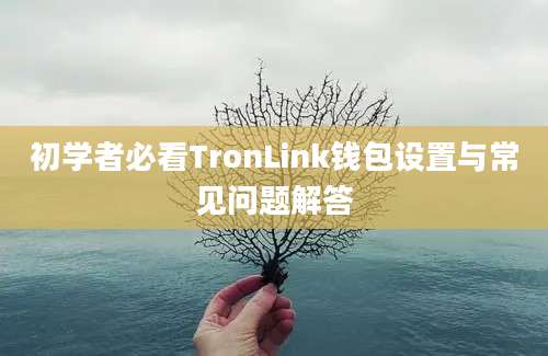 初学者必看TronLink钱包设置与常见问题解答