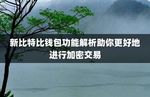 新比特比钱包功能解析助你更好地进行加密交易