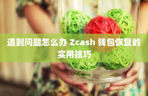 遇到问题怎么办 Zcash 钱包恢复的实用技巧