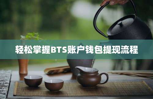 轻松掌握BTS账户钱包提现流程