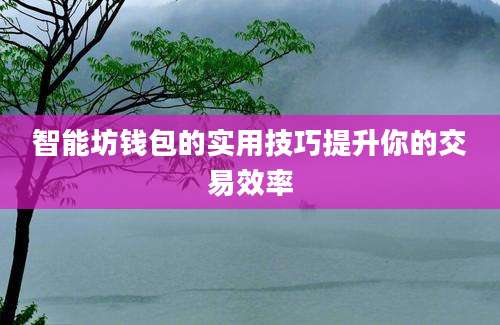 智能坊钱包的实用技巧提升你的交易效率