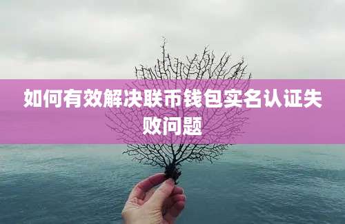 如何有效解决联币钱包实名认证失败问题