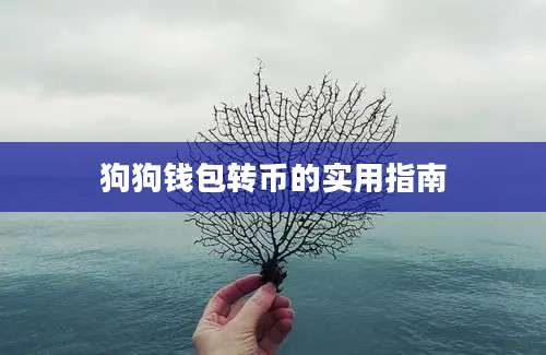 狗狗钱包转币的实用指南