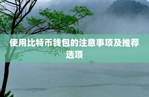 使用比特币钱包的注意事项及推荐选项