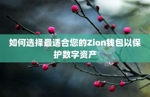 如何选择最适合您的Zion钱包以保护数字资产