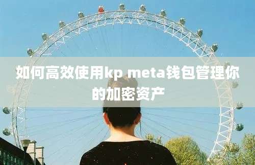 如何高效使用kp meta钱包管理你的加密资产