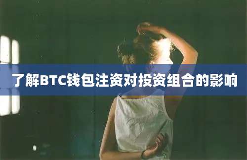 了解BTC钱包注资对投资组合的影响