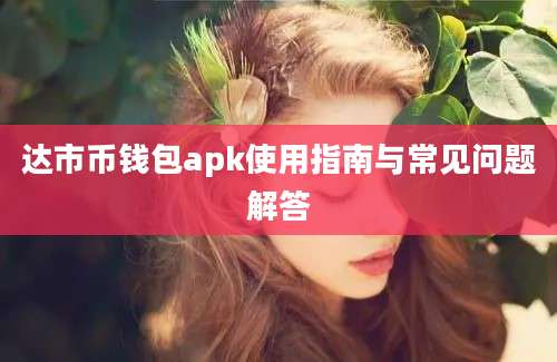 达市币钱包apk使用指南与常见问题解答