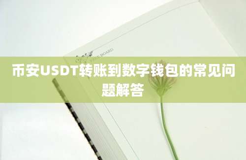 币安USDT转账到数字钱包的常见问题解答