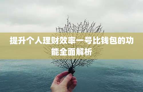 提升个人理财效率一号比钱包的功能全面解析