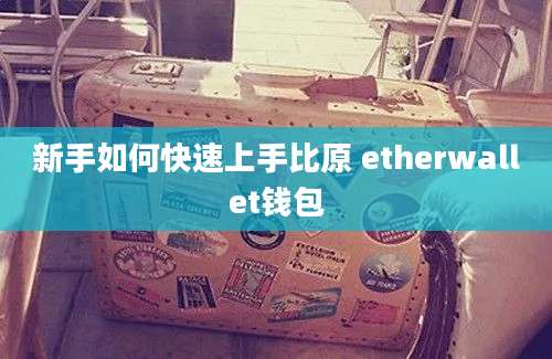 新手如何快速上手比原 etherwallet钱包