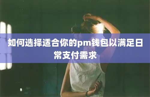 如何选择适合你的pm钱包以满足日常支付需求