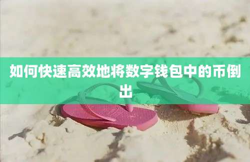 如何快速高效地将数字钱包中的币倒出