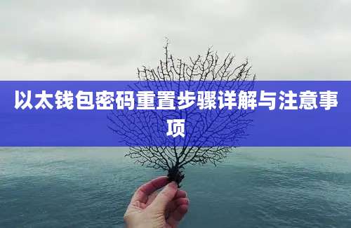 以太钱包密码重置步骤详解与注意事项