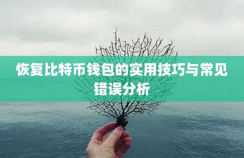 恢复比特币钱包的实用技巧与常见错误分析