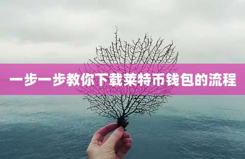 一步一步教你下载莱特币钱包的流程