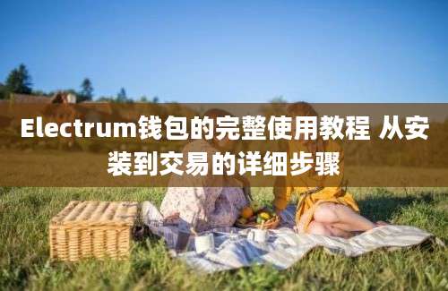 Electrum钱包的完整使用教程 从安装到交易的详细步骤