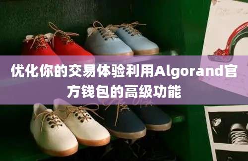 优化你的交易体验利用Algorand官方钱包的高级功能