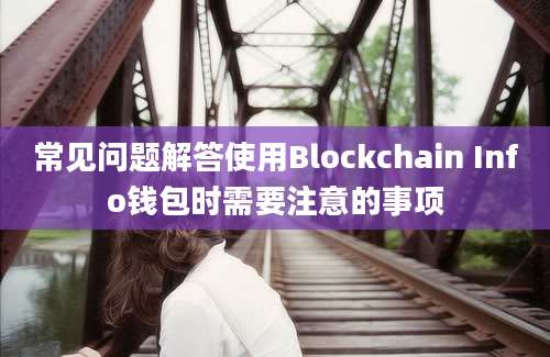 常见问题解答使用Blockchain Info钱包时需要注意的事项