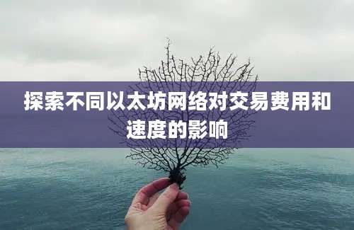 探索不同以太坊网络对交易费用和速度的影响