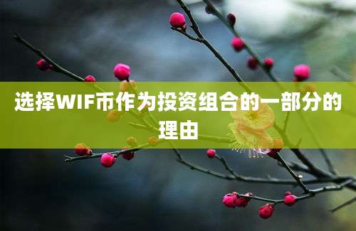 选择WIF币作为投资组合的一部分的理由