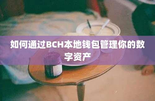 如何通过BCH本地钱包管理你的数字资产