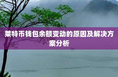 莱特币钱包余额变动的原因及解决方案分析