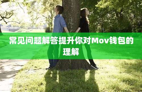 常见问题解答提升你对Mov钱包的理解