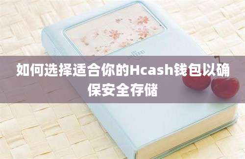 如何选择适合你的Hcash钱包以确保安全存储