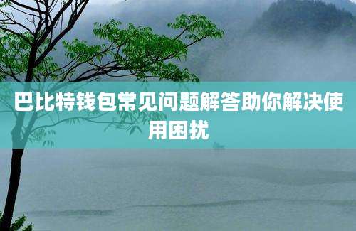 巴比特钱包常见问题解答助你解决使用困扰