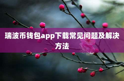 瑞波币钱包app下载常见问题及解决方法